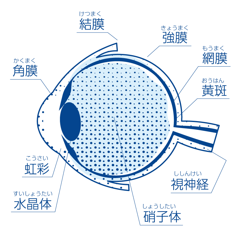 乱視についてアートワーク