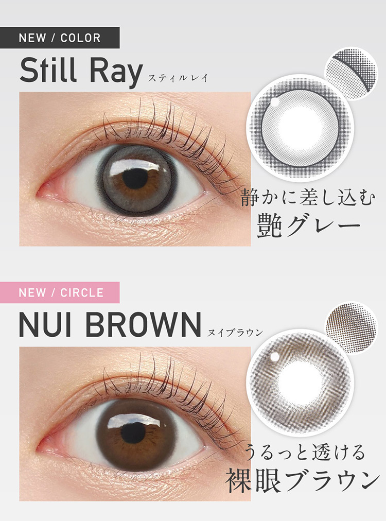 Lcode ReVIA 1DAY エルコード レヴィアワンデー 2026年1月新色